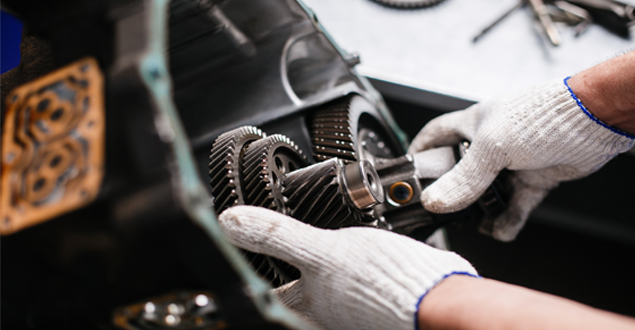 Person Working on a Car